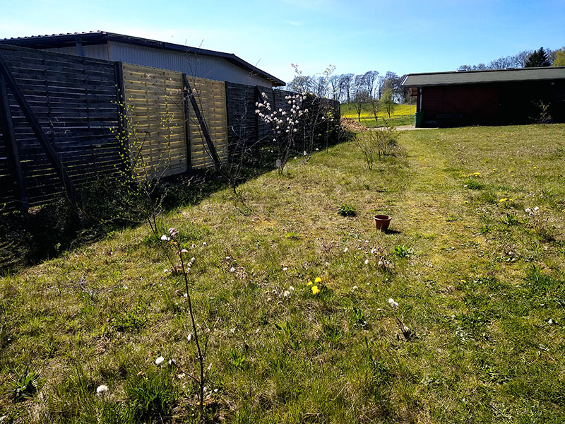 Die Wiese ist schon lange aus ihrem Winterschlaf erwacht. Langsam sieht man das auch optisch.