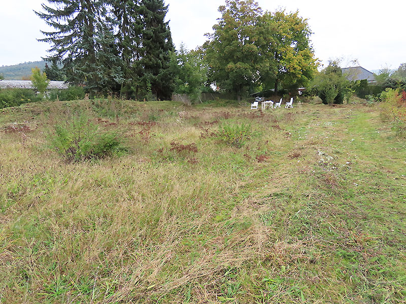 Die Wiese in der Abräumphase