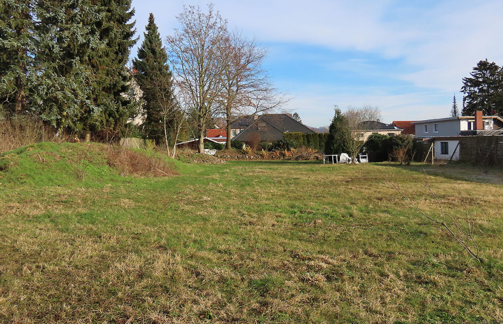 Wildblumenwiese Ende Januar