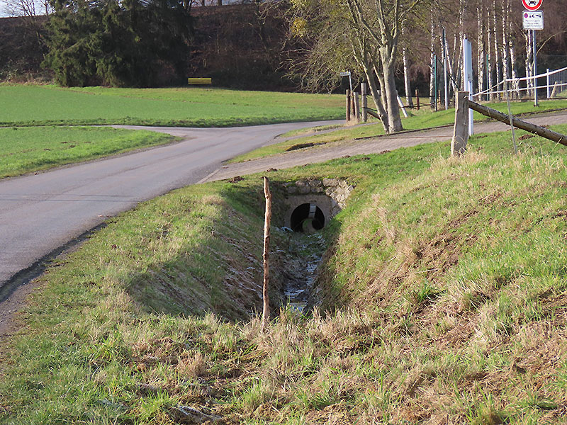 Im Roten Tor, Steinbergen bei der Feuerwehr, Steinbergen