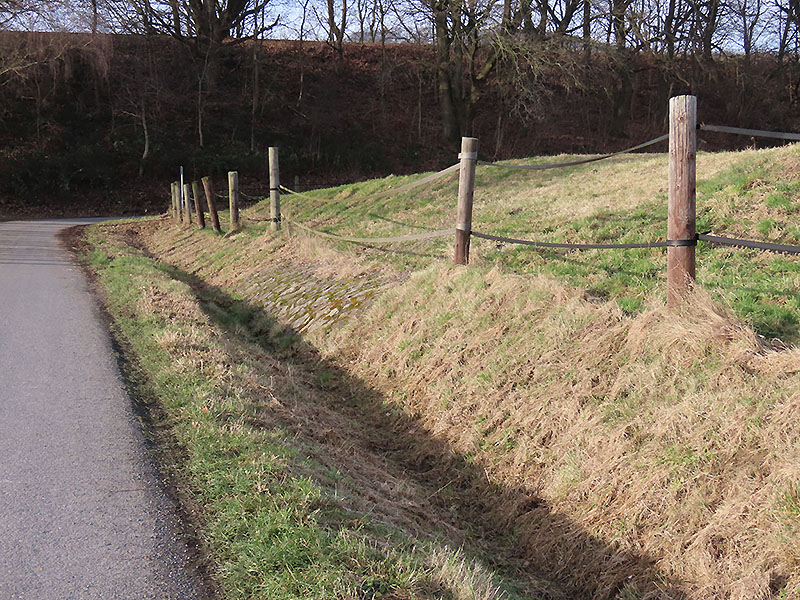 Im Roten Tor, Steinbergen