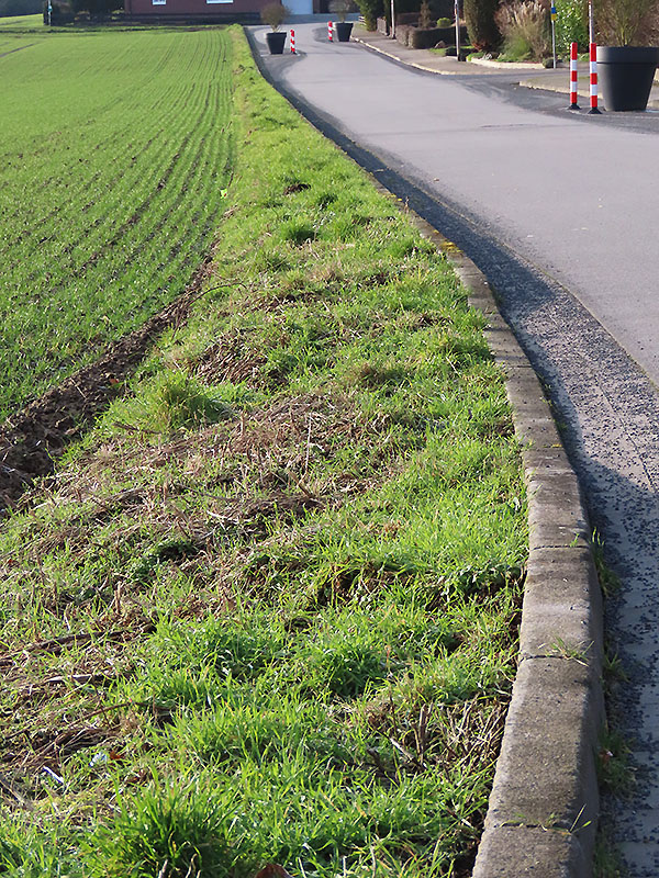 Halbe Sasse, Steinbergen