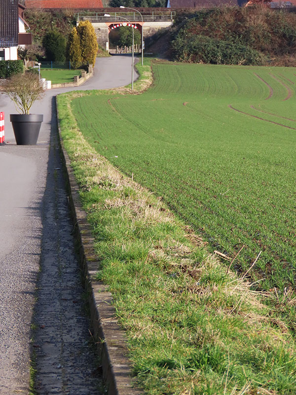 Halbe Sasse, Steinbergen