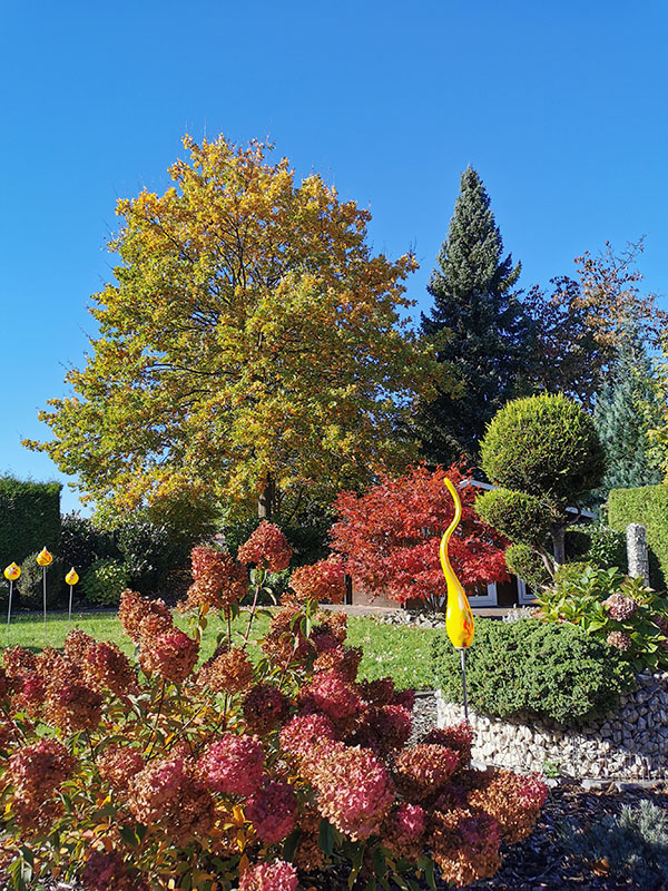 Unser Garten in Herbstfarben
