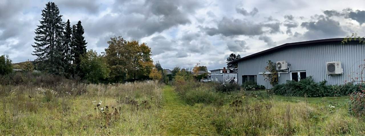 Mähen im Herbst oder Frühjahr ?