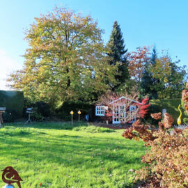 Garten im Herbst